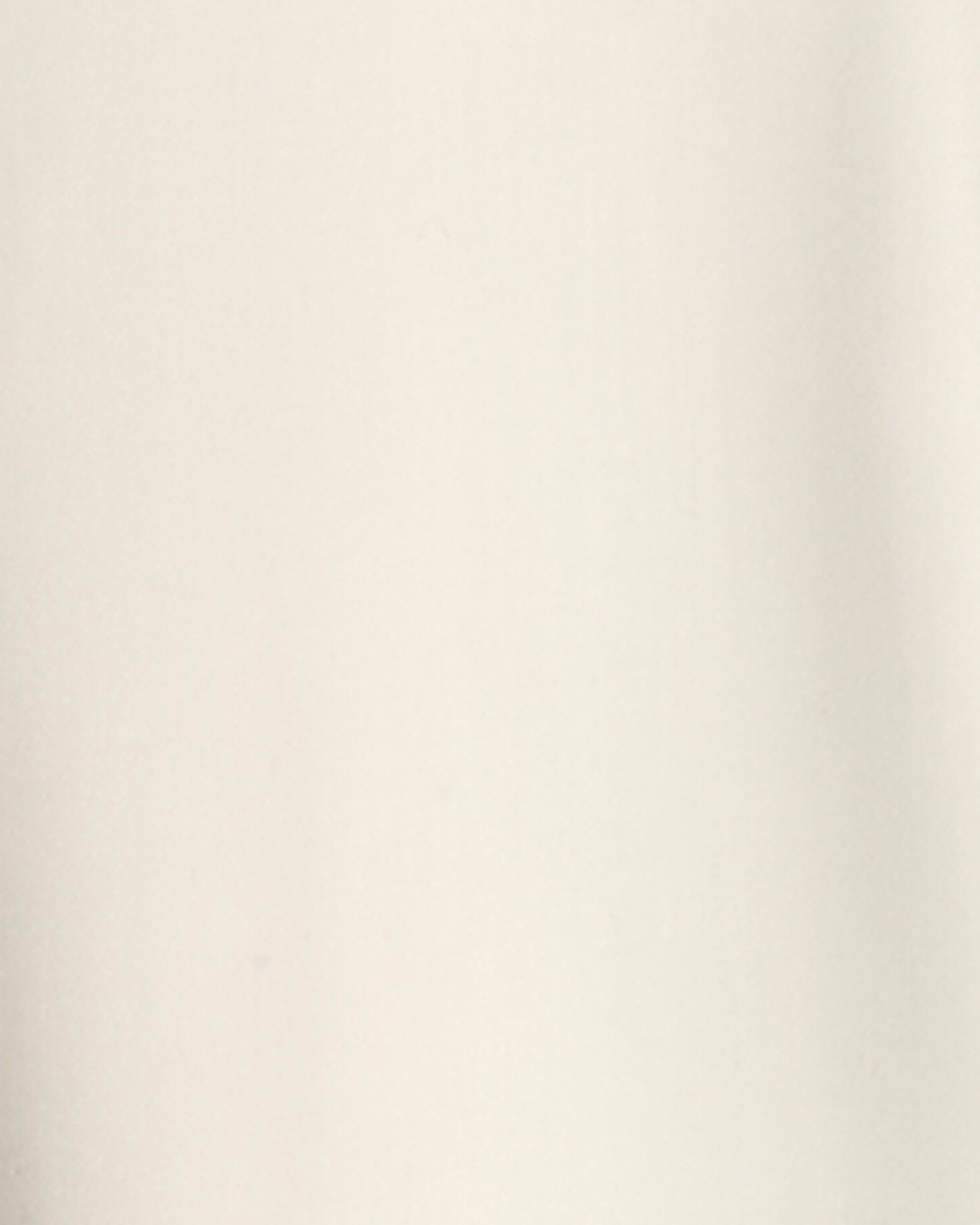 Aster Pant - Image 7
